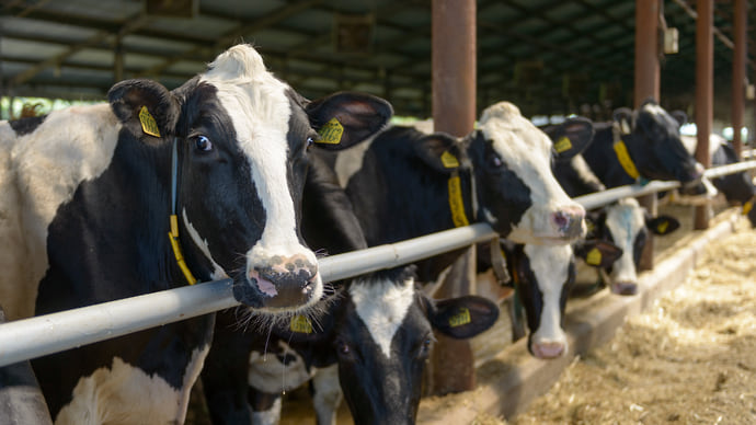 Гарант здоровой продукции