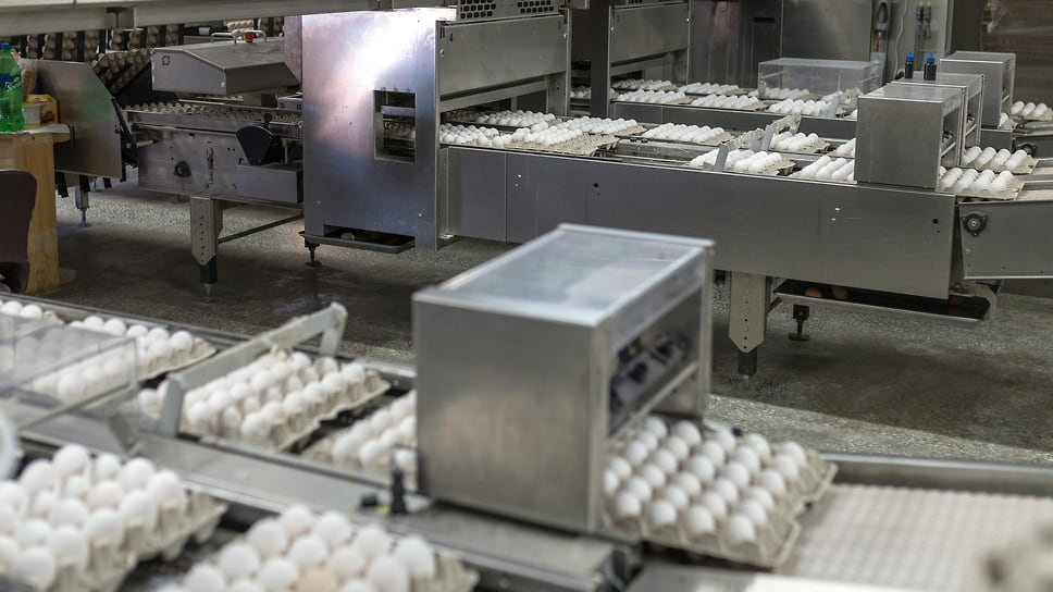 В Ростовской области пищевую продукцию производят около 1,8 тыс. компаний