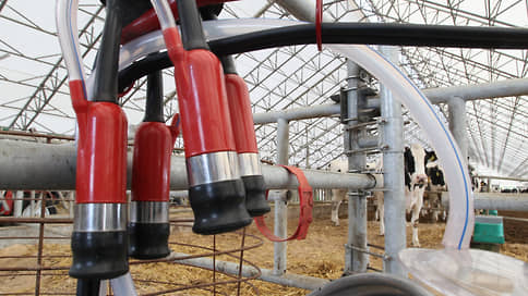 Молочников придоило // Нижегородские животноводы готовятся к крупным убыткам