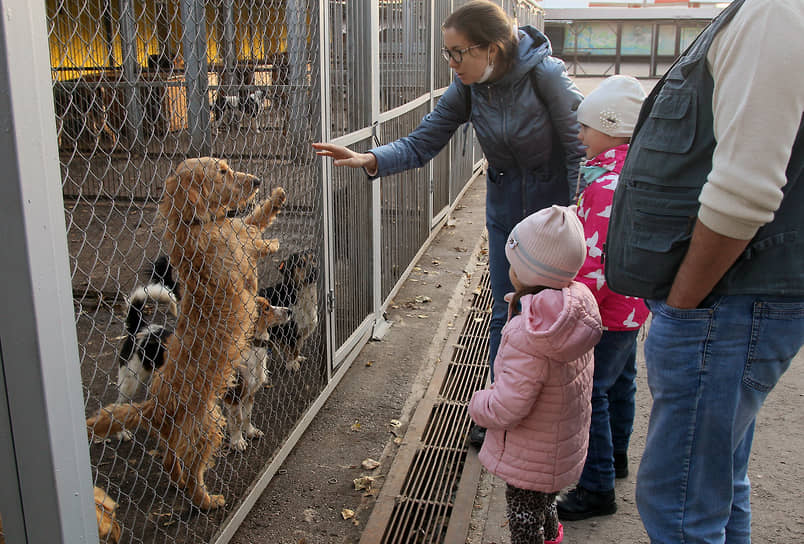 Самый счастливый момент в жизни приютских собак, когда появляется семья, готовая принять в себя нового члена