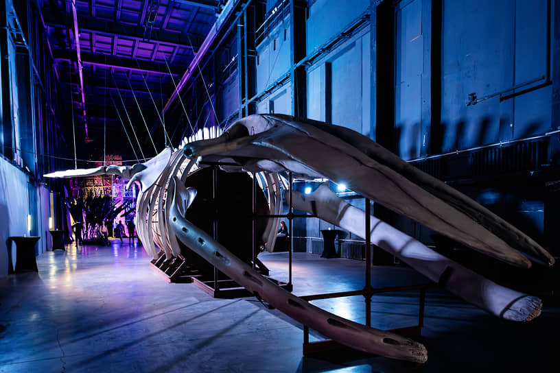   Проект был создан специально для московского Дома культуры «ГЭС-2» в 2023 году, а теперь он стал частью выставки «Цифровые надежды» в «Цехе». Перформативная инсталляция обращается к древнему японскому мифу о призрачном ките, возникающем как знак тревоги и возмездия. Внутри 25-метрового скелета, напоминающего классический экспонат музея естественной истории, размещена металлическая цистерна, где звучит аудиоинсталляция 