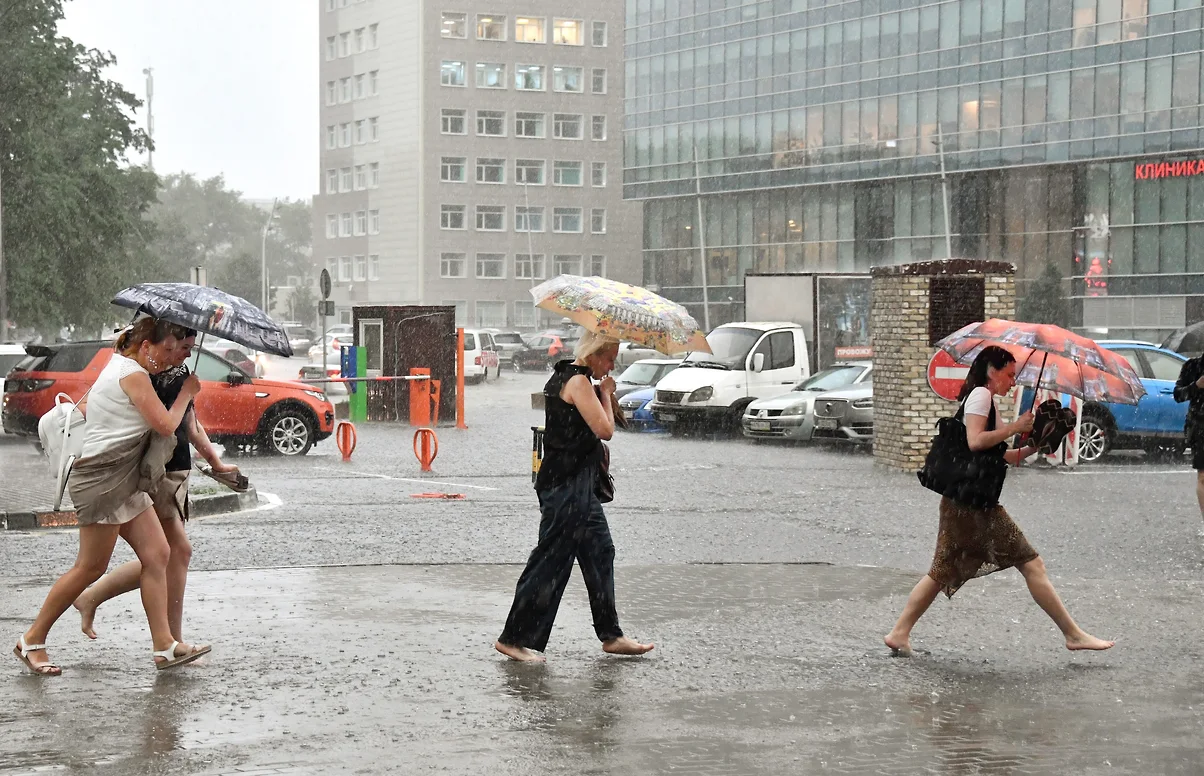 https://im2.kommersant.ru/Issues.photo/REGIONS/NOVOSIBIRSK_News/2022/07/29/KMO_182710_00026_1_t249_100759.webp