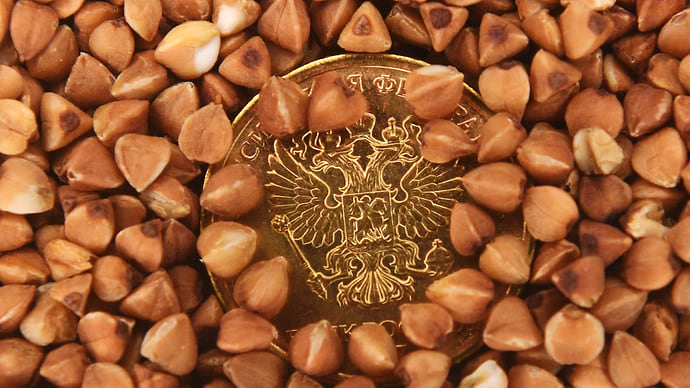 Злачный рост