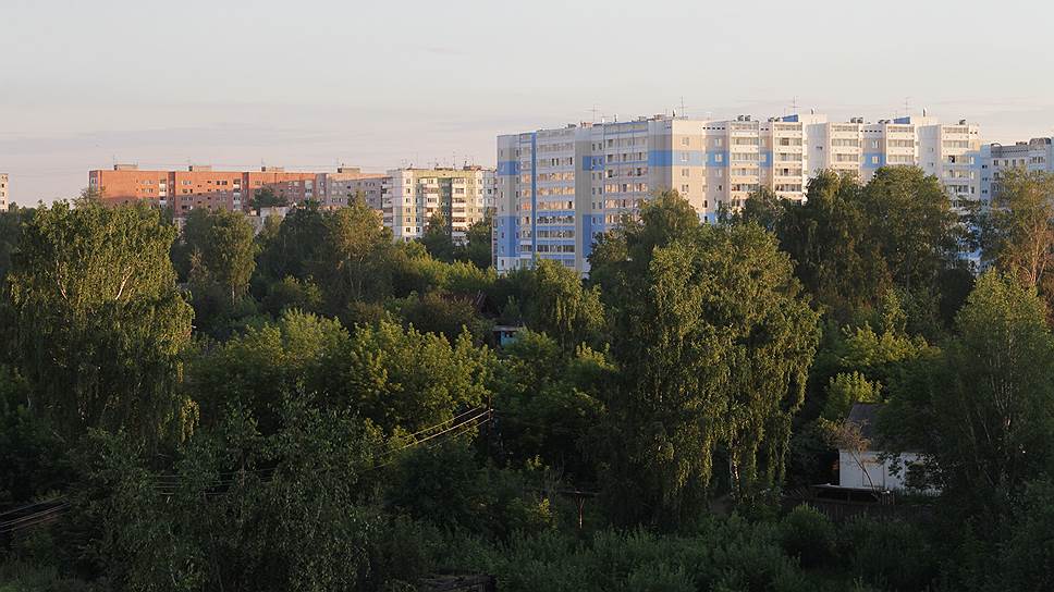 Пермские экологи защищают городские леса от застройки 