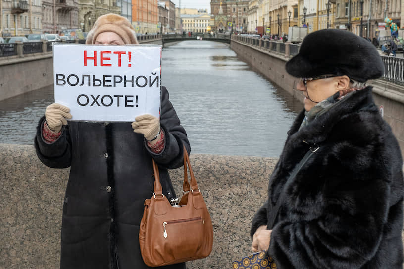 Женщина в одиночном пикете с плататом "Нет! Вольерной охоте!" на Невском проспекте