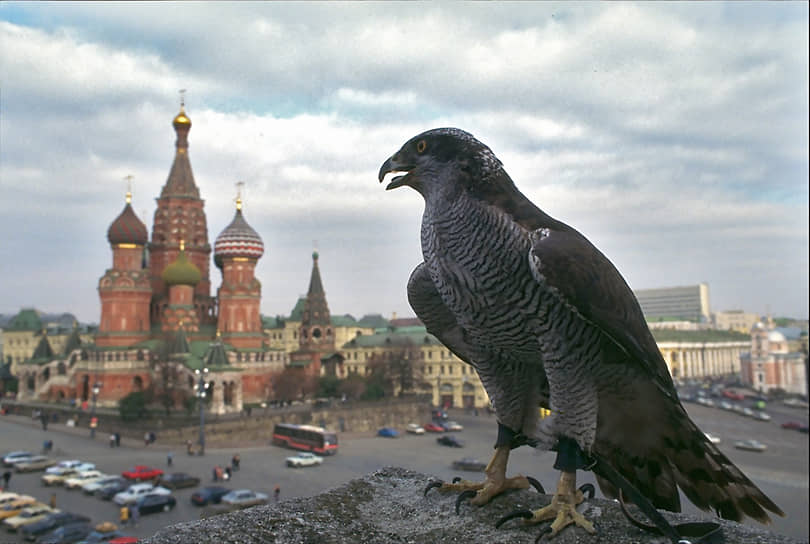 12 июня 1990 года на Съезде народных депутатов была принята Декларация о государственном суверенитете РСФСР. Документ стал важной частью политической борьбы демократов с центральным аппаратом СССР и стартовой точкой в реформировании системы государственной власти в Советском Союзе на высоком уровне. Сейчас этот день в календаре провозглашен Днем России
