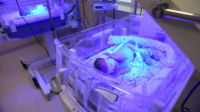 Учреждение среднего рода