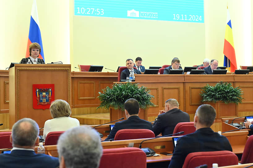 Фото: предоставлено пресс-службой Законодательного Собрания Ростовской области 