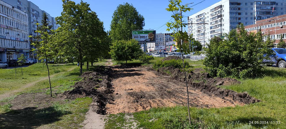 Мэрия планирует вырубить деревья в зоне зеленого пояса Ульяновска