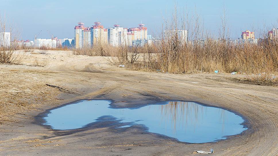 Неиспользованные намытые земли в центре Воронежа довели бизнесменов до Парижа   