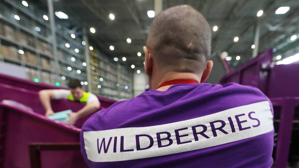 Wildberries может охватить логоцентрами сразу четыре региона Черноземья