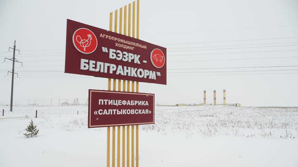  Птицефабрика компании «БЭЗРК-Белгранкорм»  