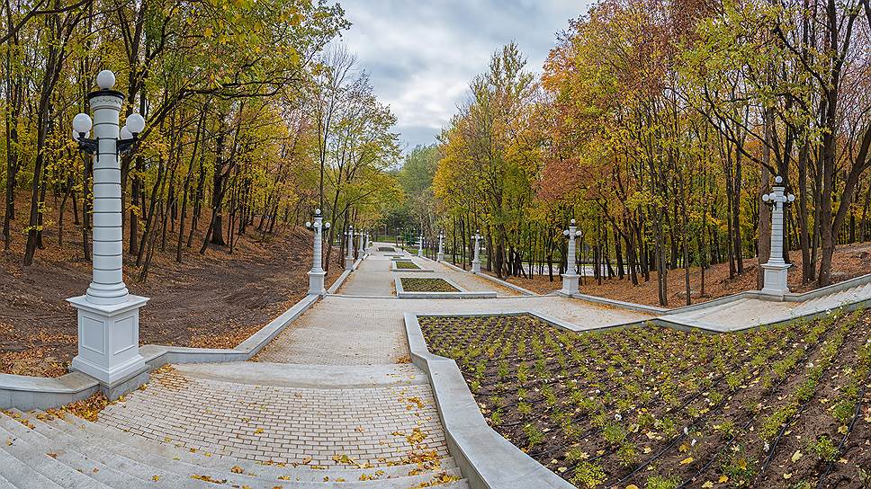 Центральный городской парк («Динамо»). Воронеж, ул. Ленина. Известен как место отдыха с середины XIX века. Сейчас идет реконструкция. Площадь — более 100 га.
