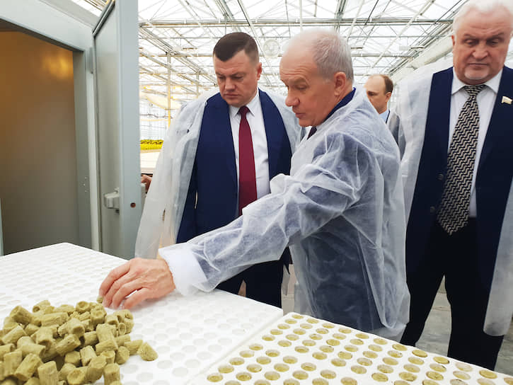 Губернатор Александр Никитин (слева) на открытии первой очереди новых теплиц АО «Тепличное»