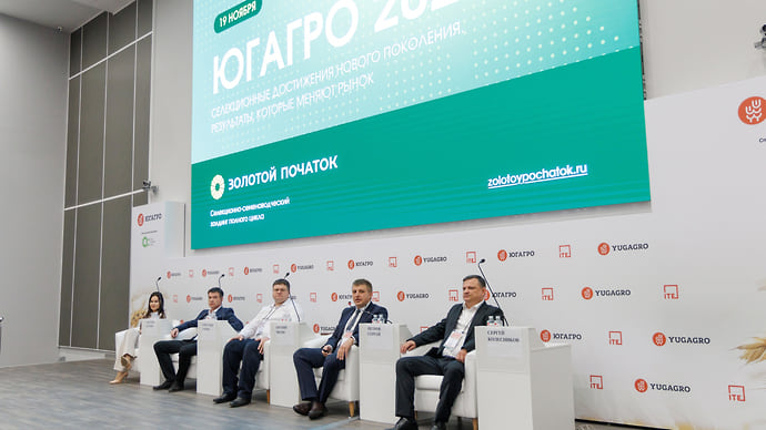 «Золотой початок»: импортозамещение на практике