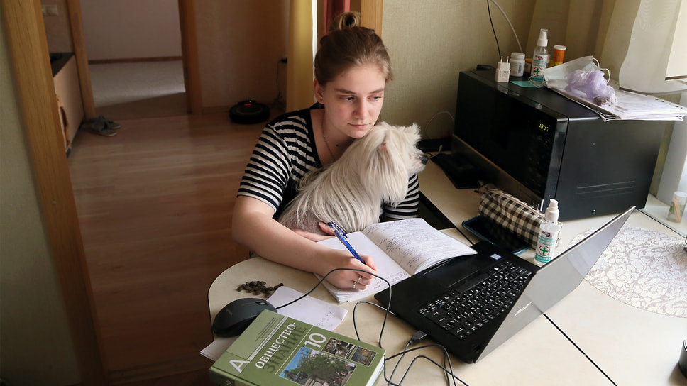 Почему растет популярность домашнего обучения