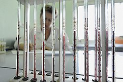 Генный "Гугл" Поисковик по ДНК скоро станет реальностью