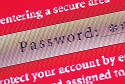 Сегодня заказать DDoS-атаку на реСурС конкурента или проСто неприятеля может любой желающий. Цена удовольСтвия — $70–90 в Сутки