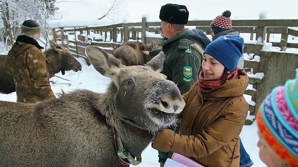 ERAECO открывает живое достояние российских заповедников