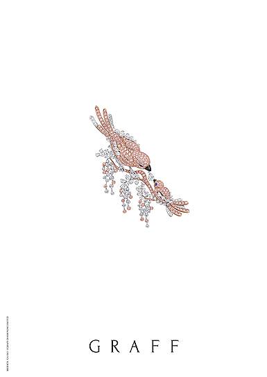 Graff, брошь High Jewellery, белое золото, бриллианты