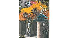 Коллаж Tery Yezh