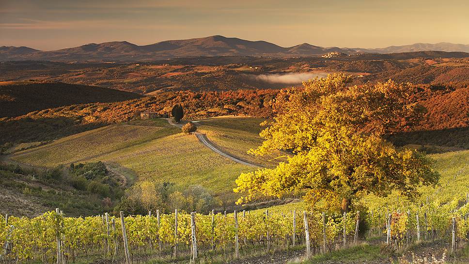 Виды курорта Rosewood Castiglion del Bosco в Тоскане