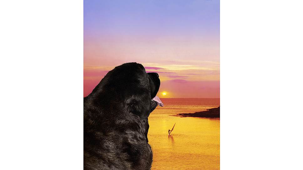 Работа лауреата Residence BMW. Авторы Мазаччо и Дровила