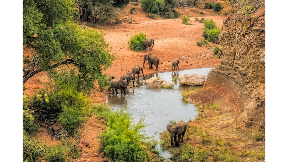 В природном парке Gondwana Game Reserve