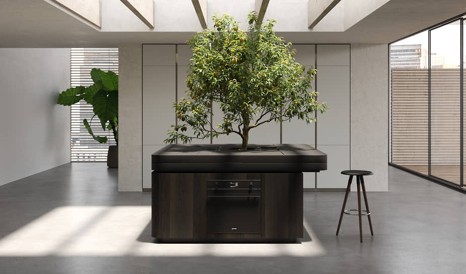 Кухня Oasi от компании Aran Cucine снабжена встроенным контейнером для растений 