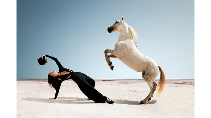 О, день сурка