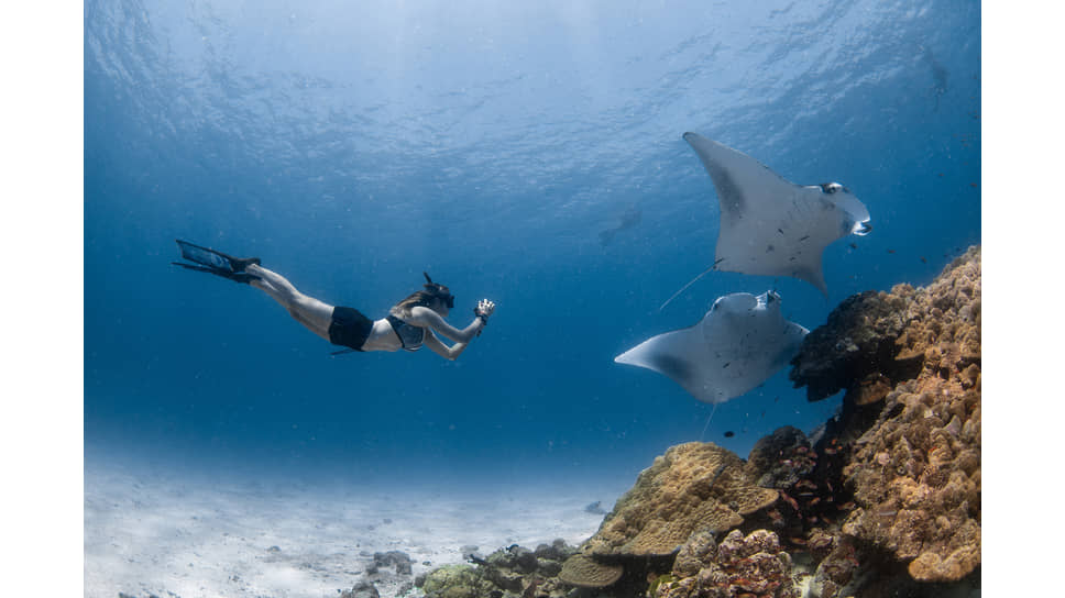 Курорт Four Seasons Resort Maldives at Landaa Giraavaru 
