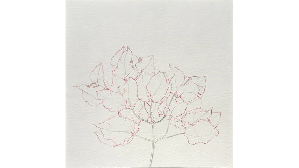 Неха Лавингиа, «Bougainvillea shade card», 2021