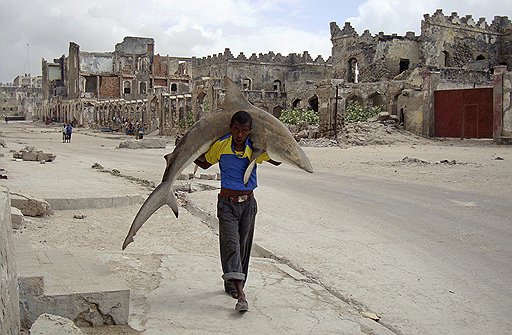Омар Фейсал (для Reuters). "Человек несет акулу по улицам Могадишо, Сомали, 23 сентября 2010 года". Первое место в категории "Повседневная жизнь. Одиночные фотографии"