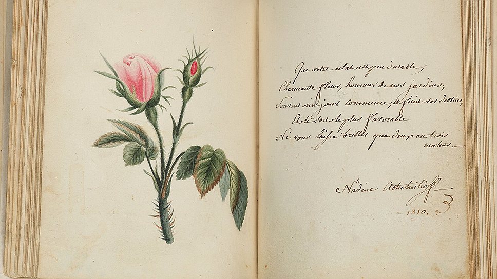 Неизвестный художник, 1810 год