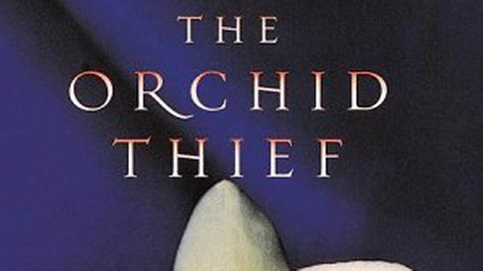 Обложка первого издания книги «Похититель орхидей»