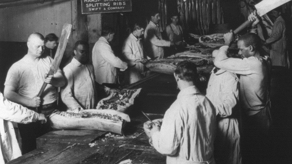 Мясоперерабатывающая фабрика в Чикаго, 1906 год 