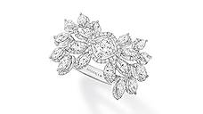 Коллекция «Финист — Ясный Сокол» 