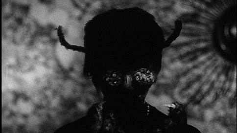 «Женщина-оса»