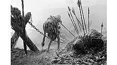 «Трудно быть богом», 2013