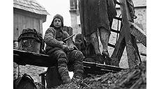 «Трудно быть богом», 2013