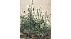 Альбрехт Дюрер. «Большой кусок луга», 1503