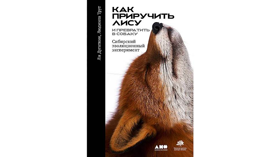 Новые книги