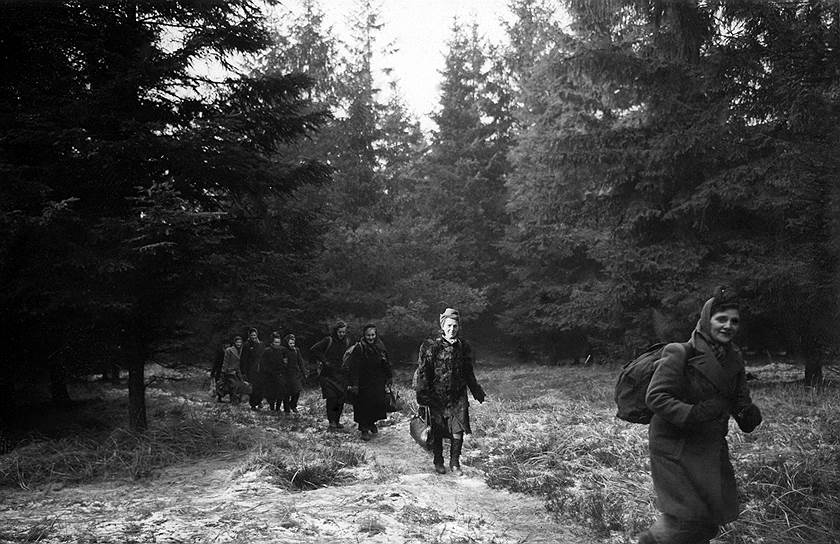 Восточногерманские домохозяйки возвращаются с покупками из ФРГ, 1950