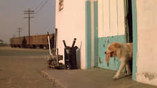 «Дикие сердцем»