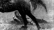 «Семь самураев»