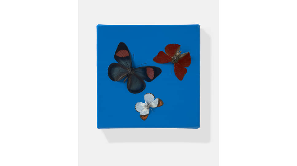 «Праздничное настроение», 2008 