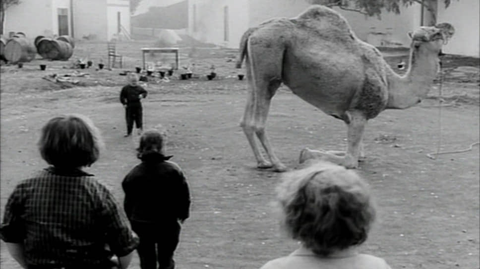 «И карлики начинали с малого», 1974 