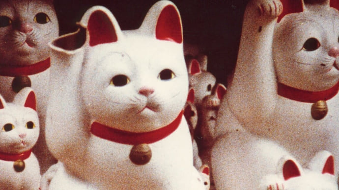 Коты и годы