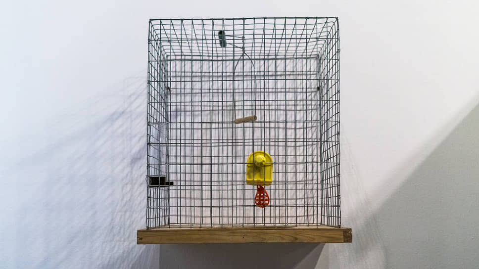 «Почувствуй себя птицей», 2014