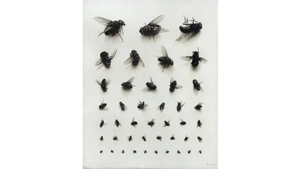 «Проверь свое зрение!», 2007